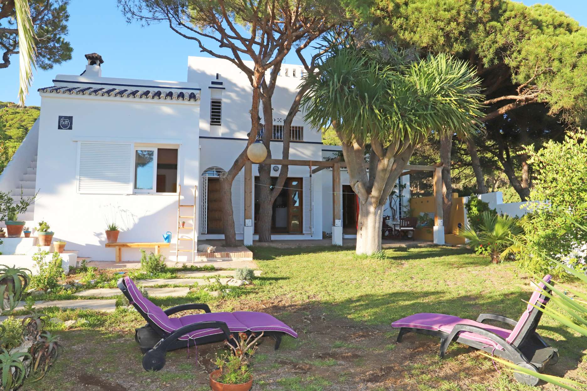 Vista del jardín desde la entrada